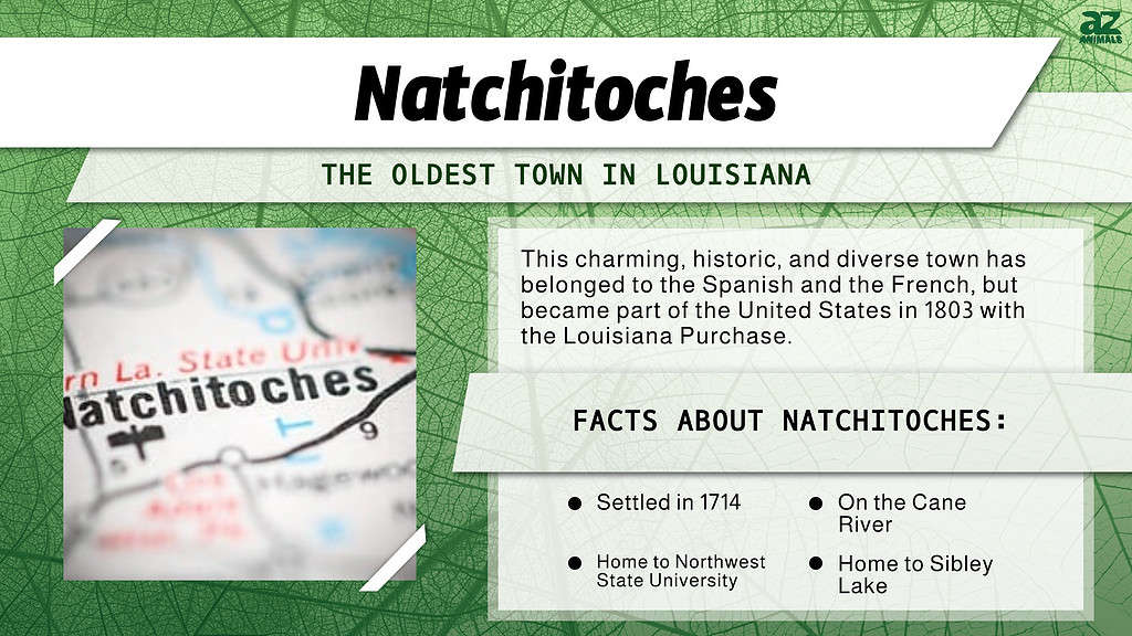 "Oldest Town" infographic for Natchitoches, Louisiana.