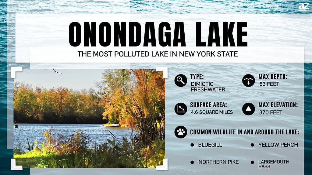 Onondaga Lake is the Most Polluted Lake in New York State
