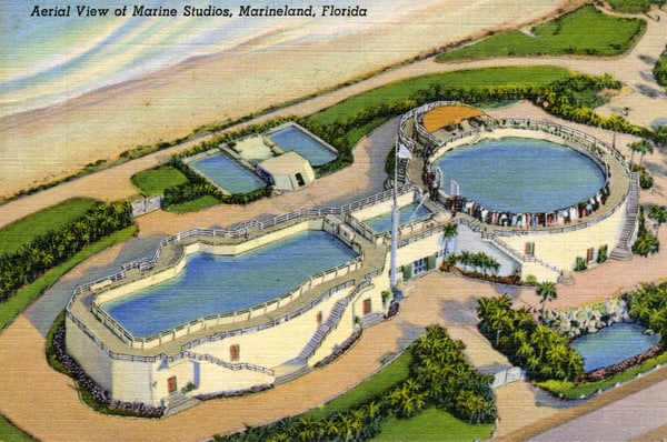 Aerial view of Marine Studios, Marineland, Florida in 1939, one year after it opened in 1938.