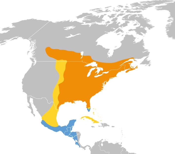 Ruby-throated hummingbird range map