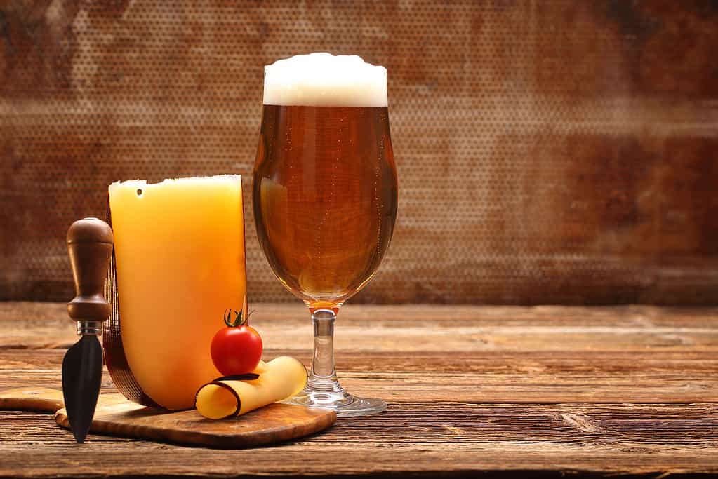 Beer and yellow cheese appetizer on brown vintage background