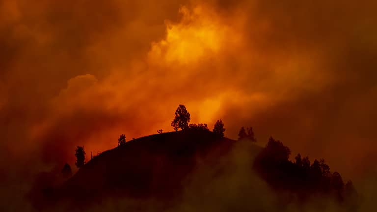 Hill with trees about to burn in red, orange wildfire