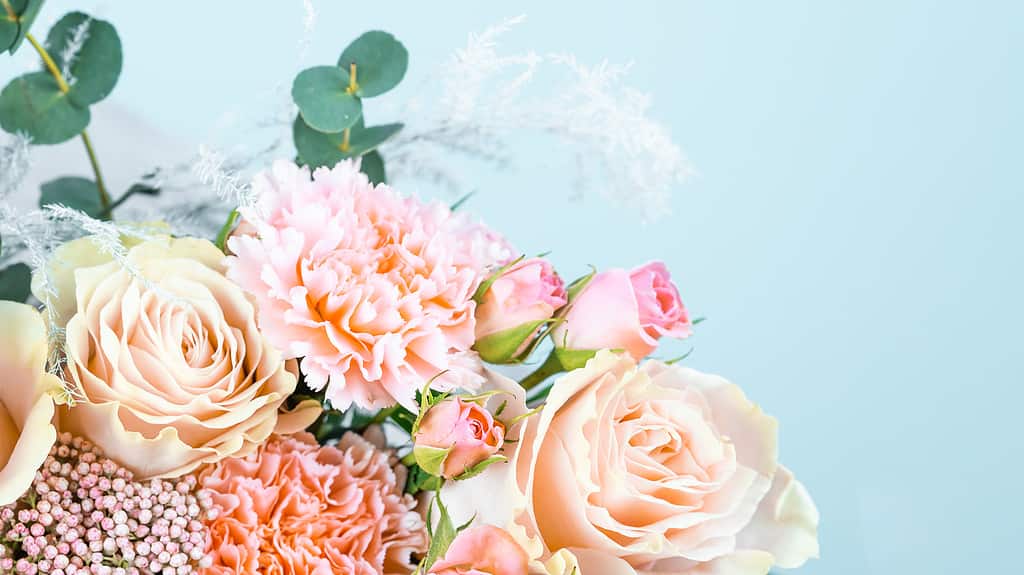 Beautiful bouquet with pink carnations and roses close-up on a blue background.