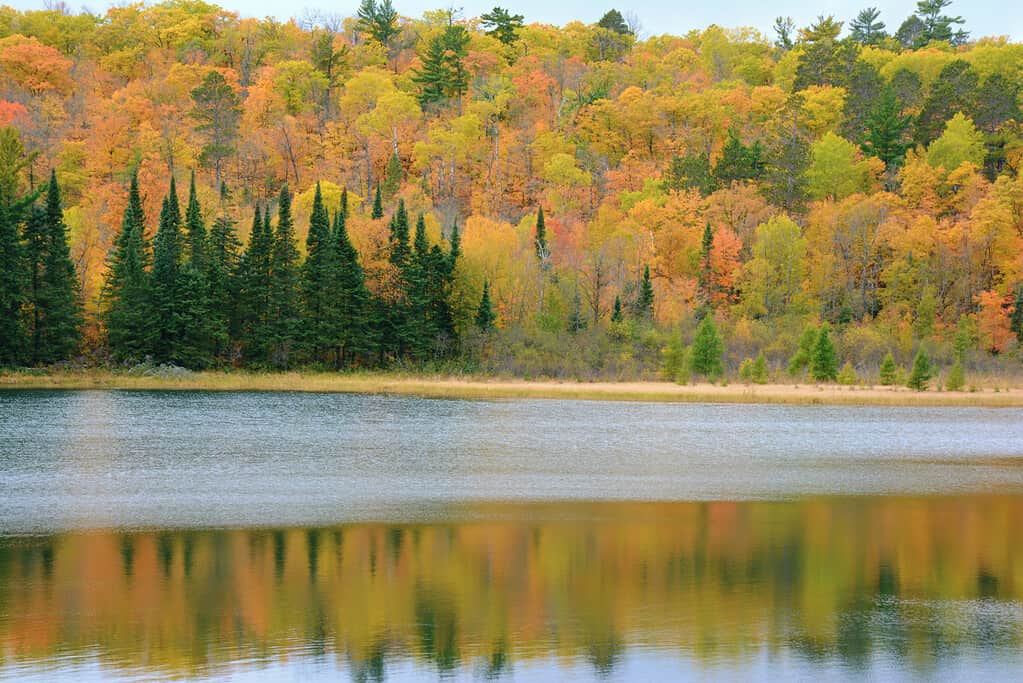 Autumn Reflections On Lake Josephine - Itasca State Park