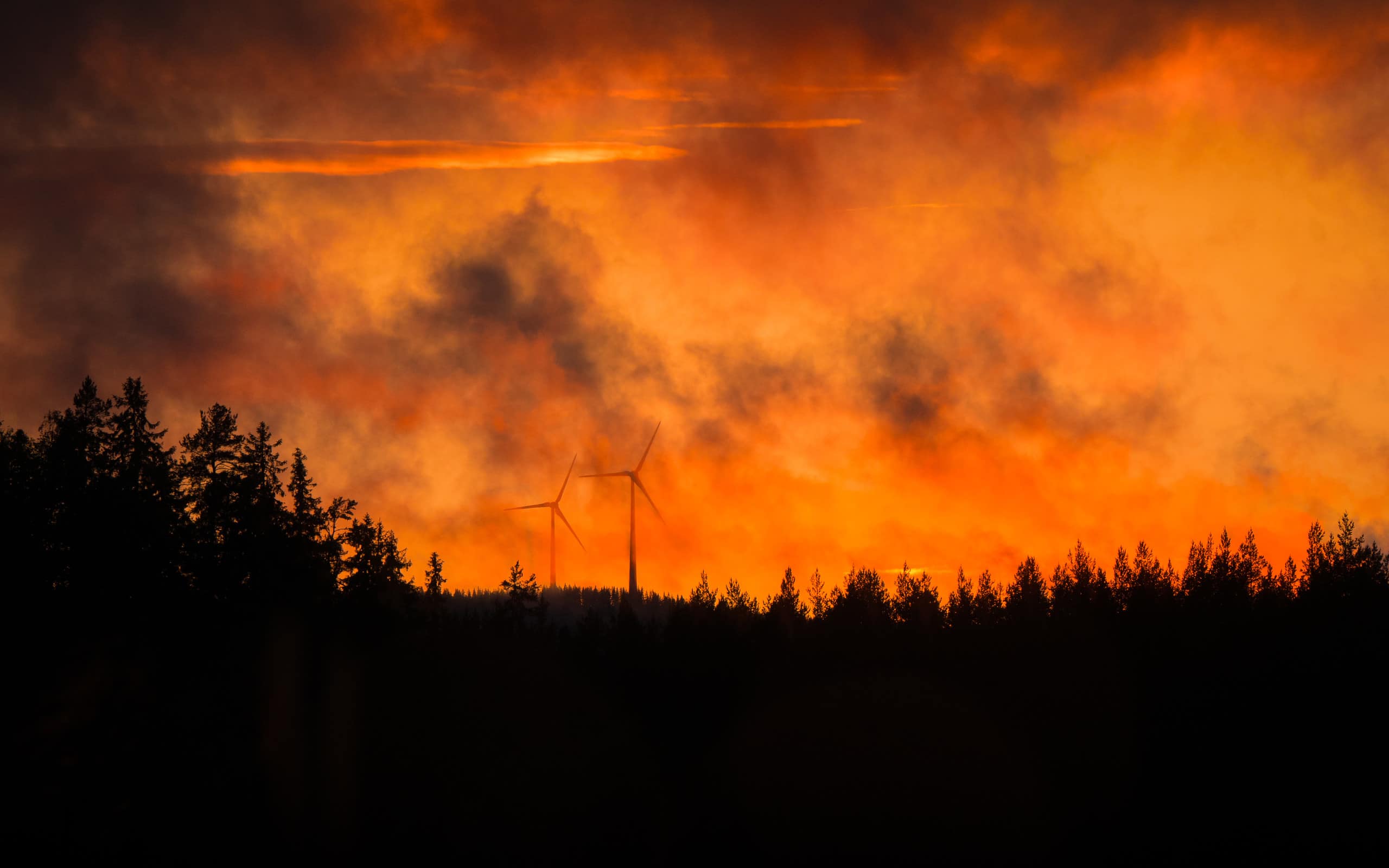 Forest fire in night time. Windmills in background. Dark image with silhouette of tree.
