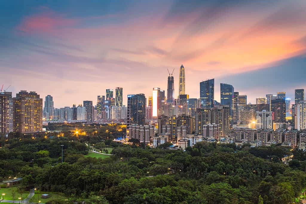 Shenzhen City Center City Scenery Skyline