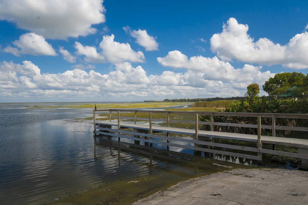 Beautiful Lake Apopka located in Central Florida with clouds and deep blue sky on a magnificent day .