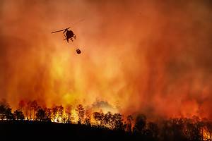 Wildfires in Texas: Peak Season Timing and Highest Risk Areas Picture