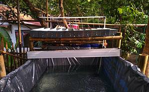 Is Rainwater Harvesting Legal? 10 Ways To Properly Use Rainwater Picture