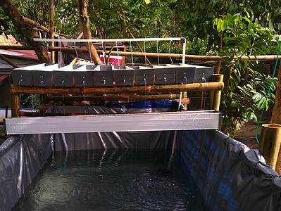 A Is Rainwater Harvesting Legal? 10 Ways To Properly Use Rainwater