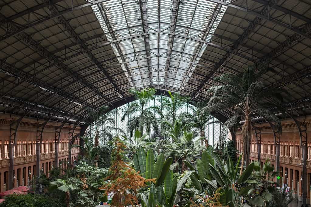 Tropical garden in a European main train station