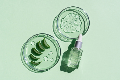 Flat lay of cosmetics serum and and laboratory glassware with fresh leaves of aloe vera on bright green background.