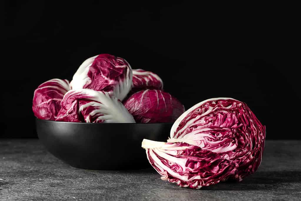 Radicchio heads