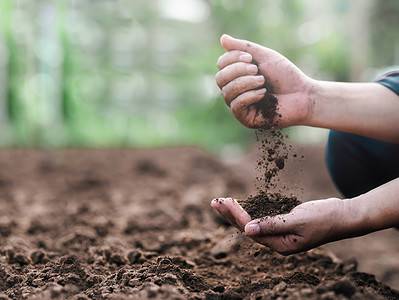 A 9 Reasons to Avoid Putting Miracle-Gro Soil In Your Garden