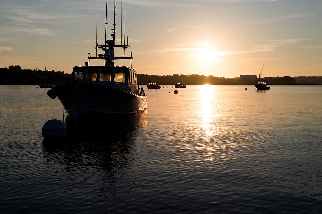 Moored boats at dawn light in Searsport Maine with the sun rising in the background.