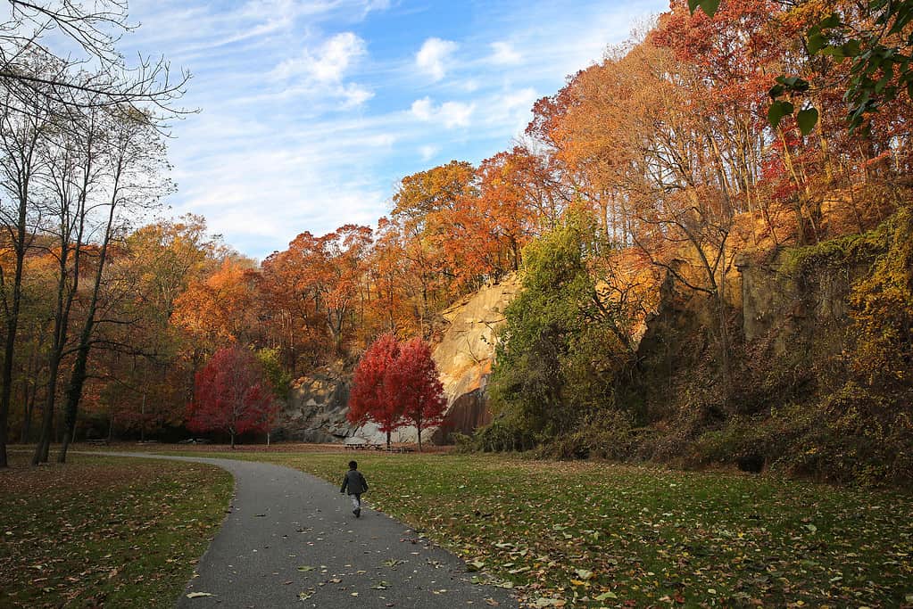 The rock-climbing wall at Alapocas Run State Park, Wilmington, Delaware, USA in the colorful fall