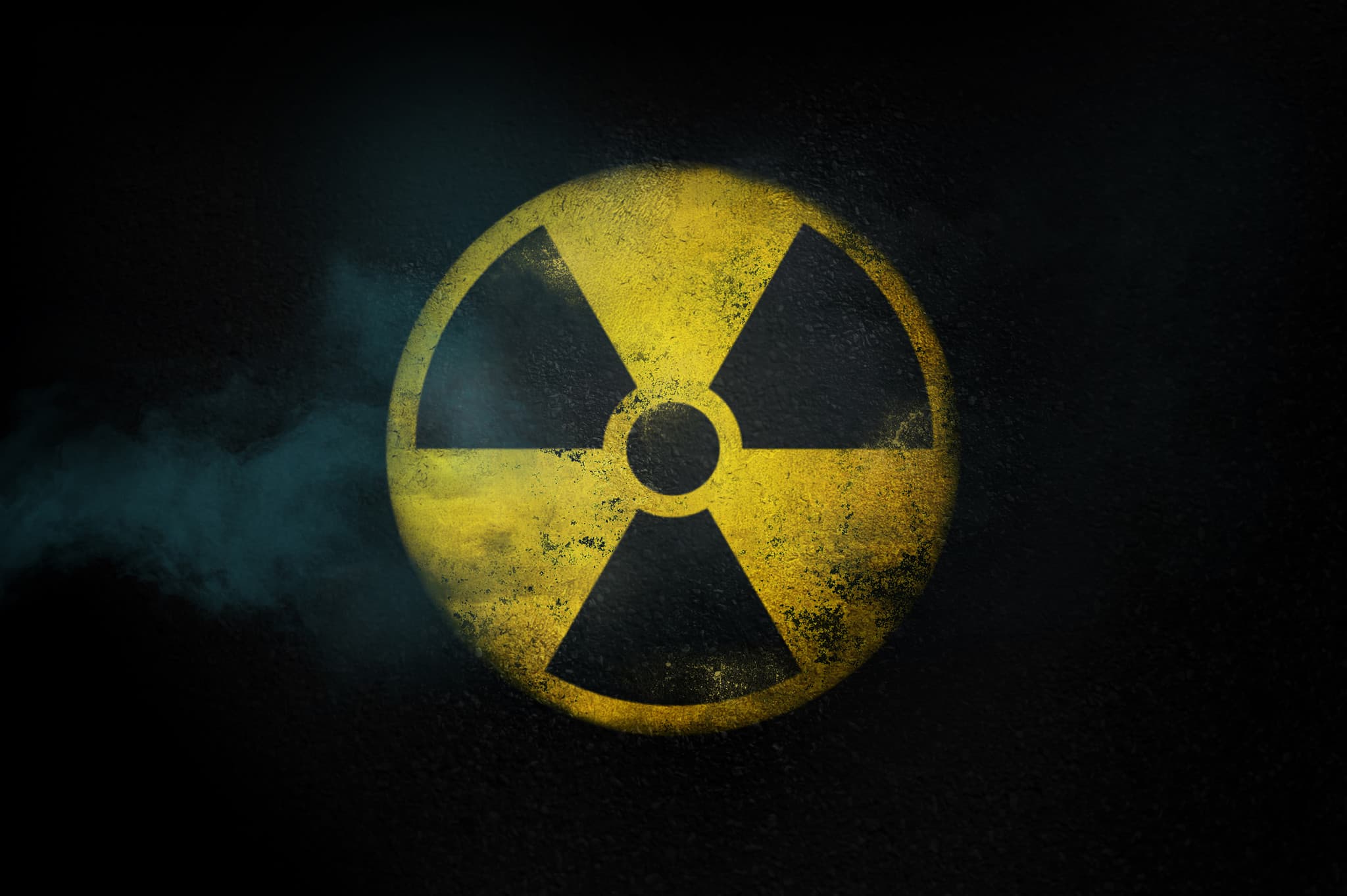 Discover The Nuclear Wasteland Overrun By Radioactive Boars A Z Animals