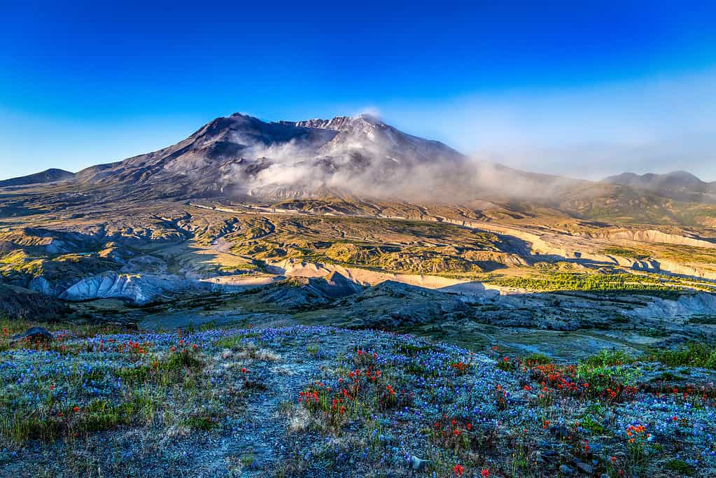 Scenic view of Mt St Helens in the early morning with beautiful vegetation and warm blue sky