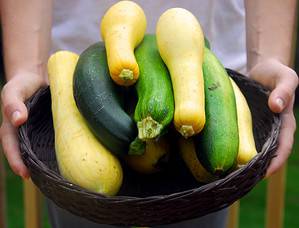 Squash Overload! 13 Ways to Make Great Use of a Huge Harvest Picture