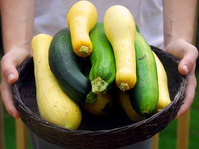 A Squash Overload! 13 Ways to Make Great Use of a Huge Harvest
