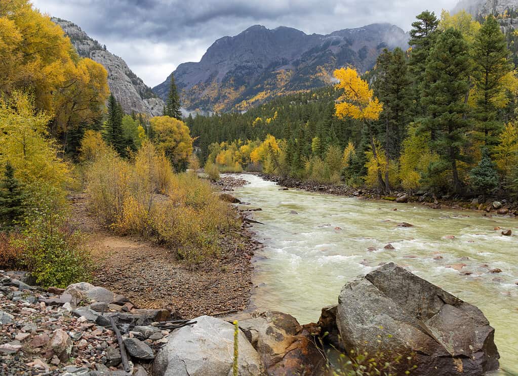 Colorful Trees along the Animas River in Colorado