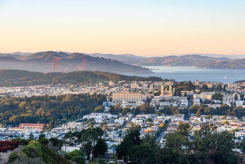 View of a residential district of San Francisco with the Golden Gate Bridge and the bay in background at sunset