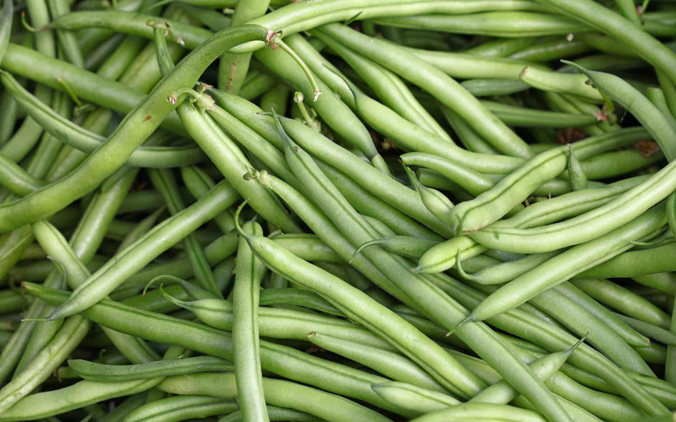Heap of fresh green beans on market stall