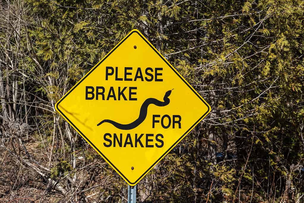 Closeup of the "Brake for Snakes" sign at the Toronto Zoo