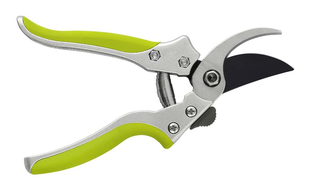 pruning shears