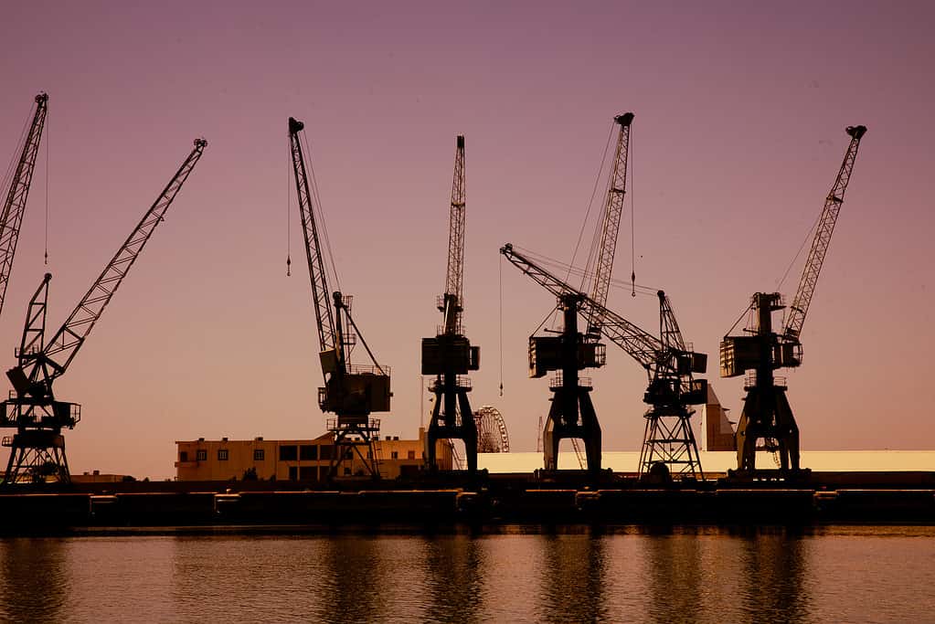Sunset on the river Tigris with Cranes