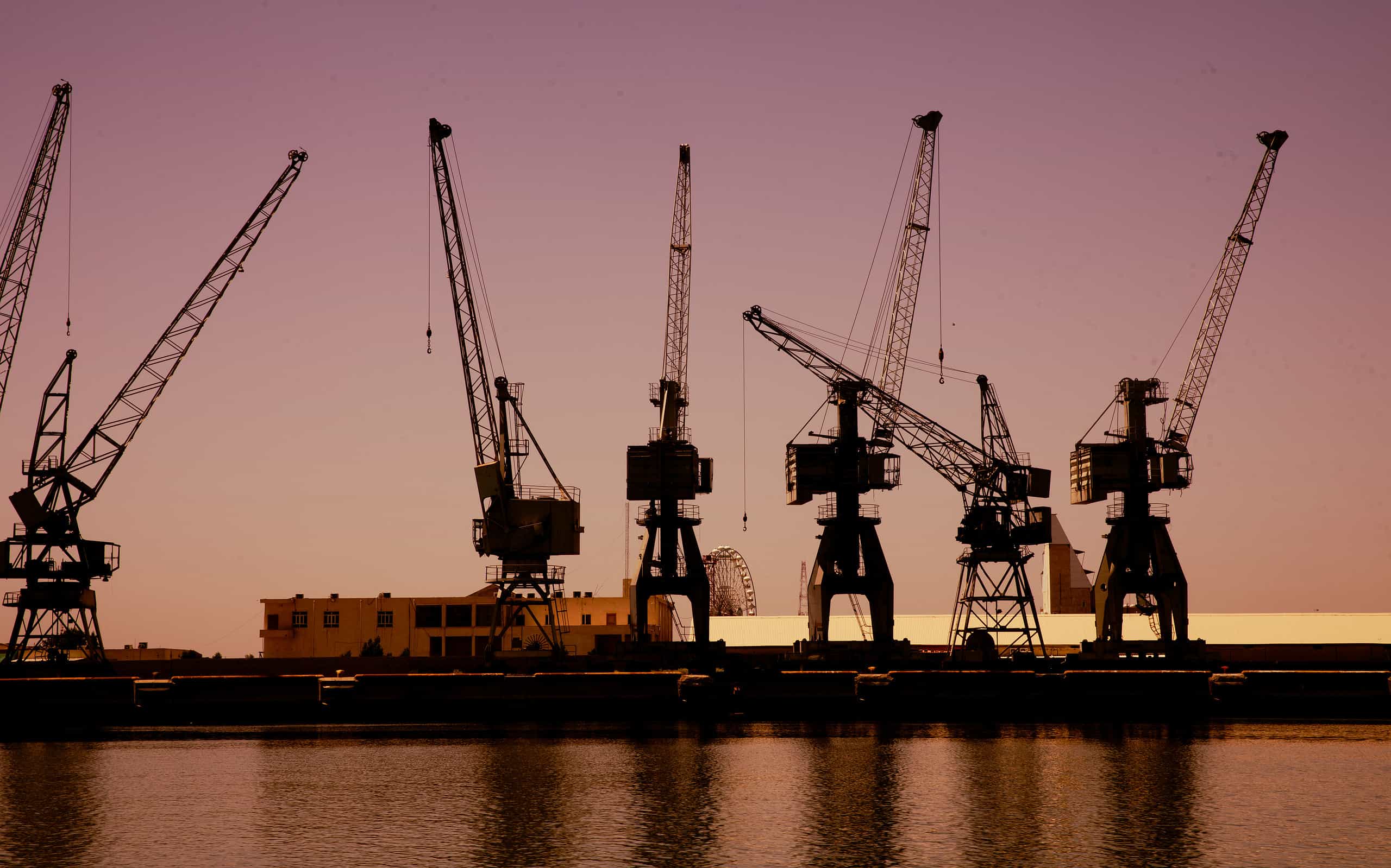 Sunset on the river Tigris with Cranes