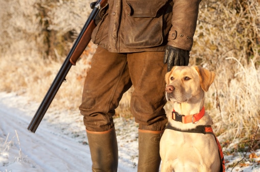 A hunter standing with his gun and dog