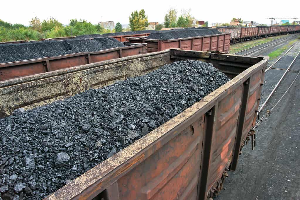 rail cars loaded with coal