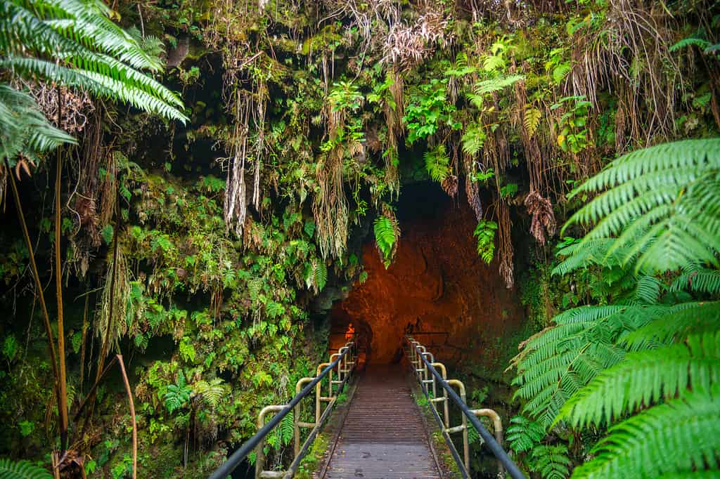 Thurston Lava Tube in Hawaii Volcano National Park, Big Island