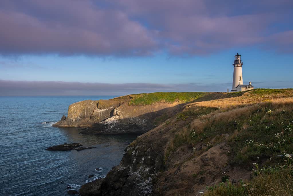 Morning Light Over Yaquina Head