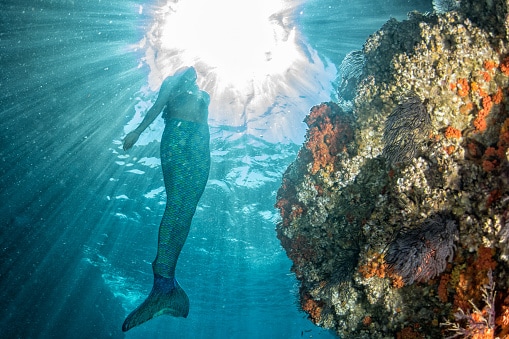 Mermaid swimming underwater in the deep blue sea