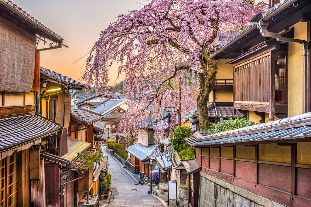 Kyoto, Japan in Spring