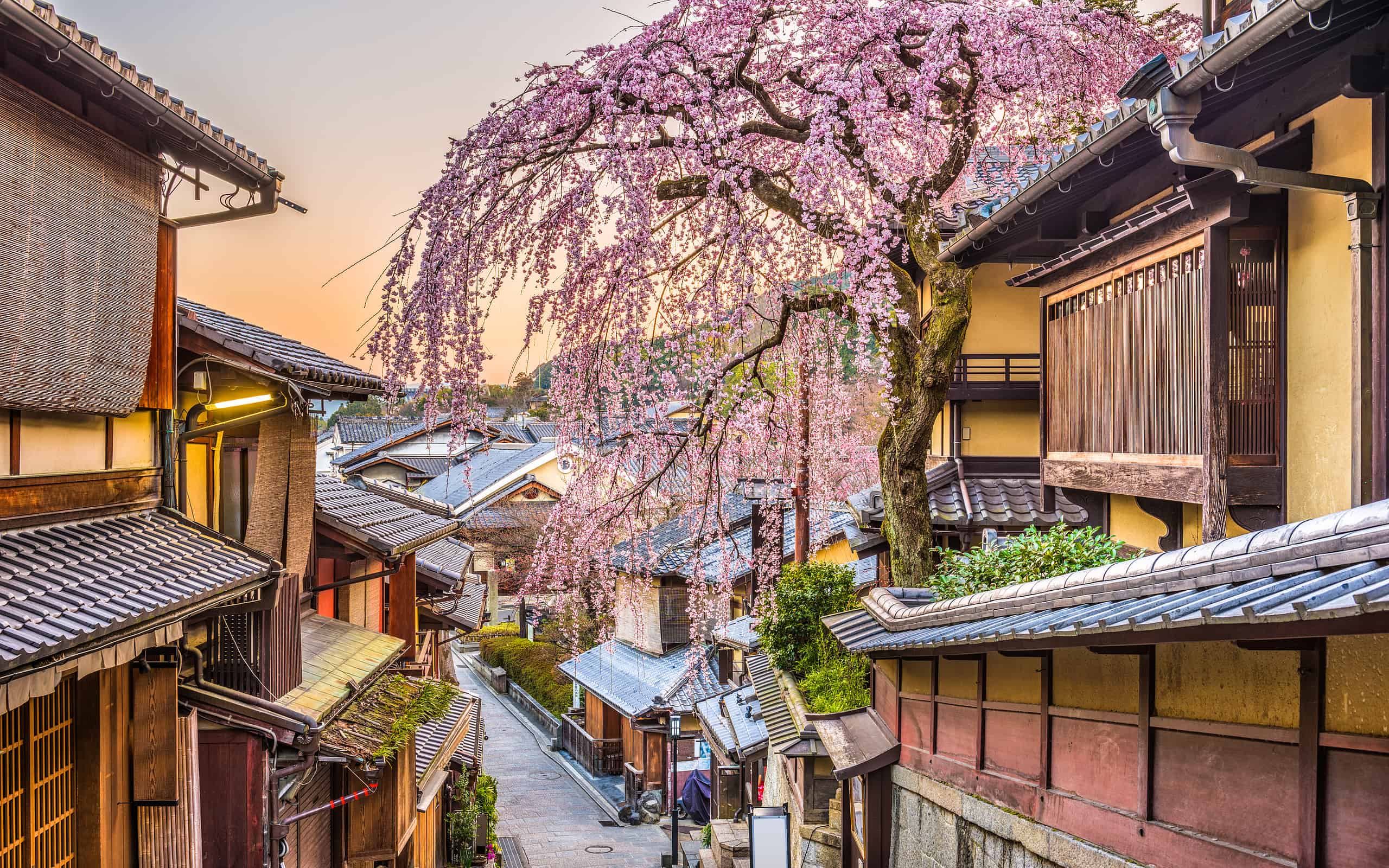 Kyoto, Japan in Spring