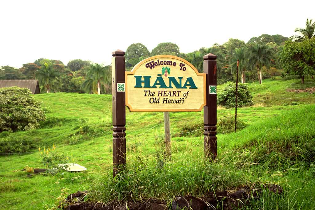 Welcome to Hana