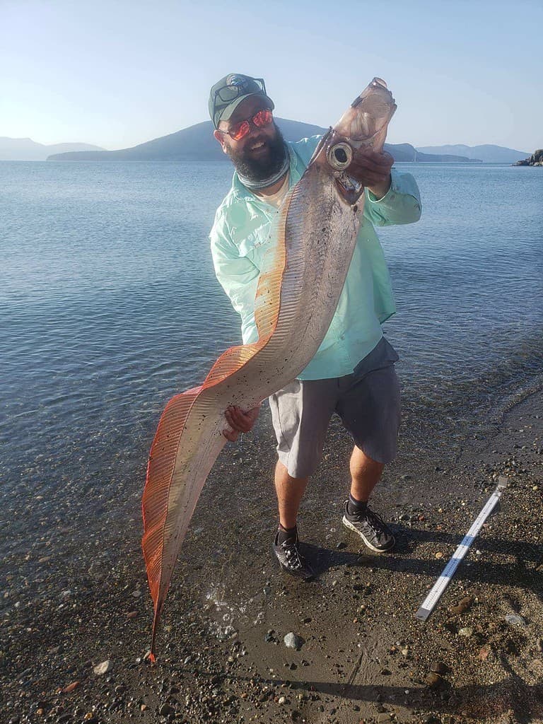 Biologist measures and releases King of the Salmon fish that washes onshore.