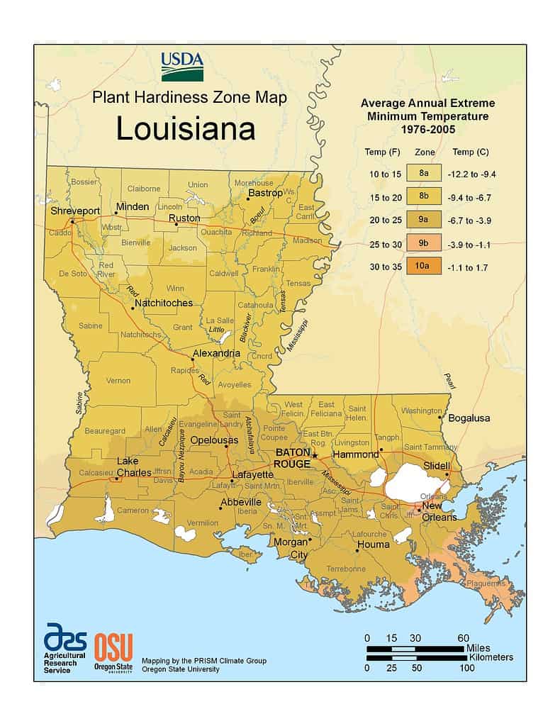 USDA Hardiness Zone Map of Louisiana