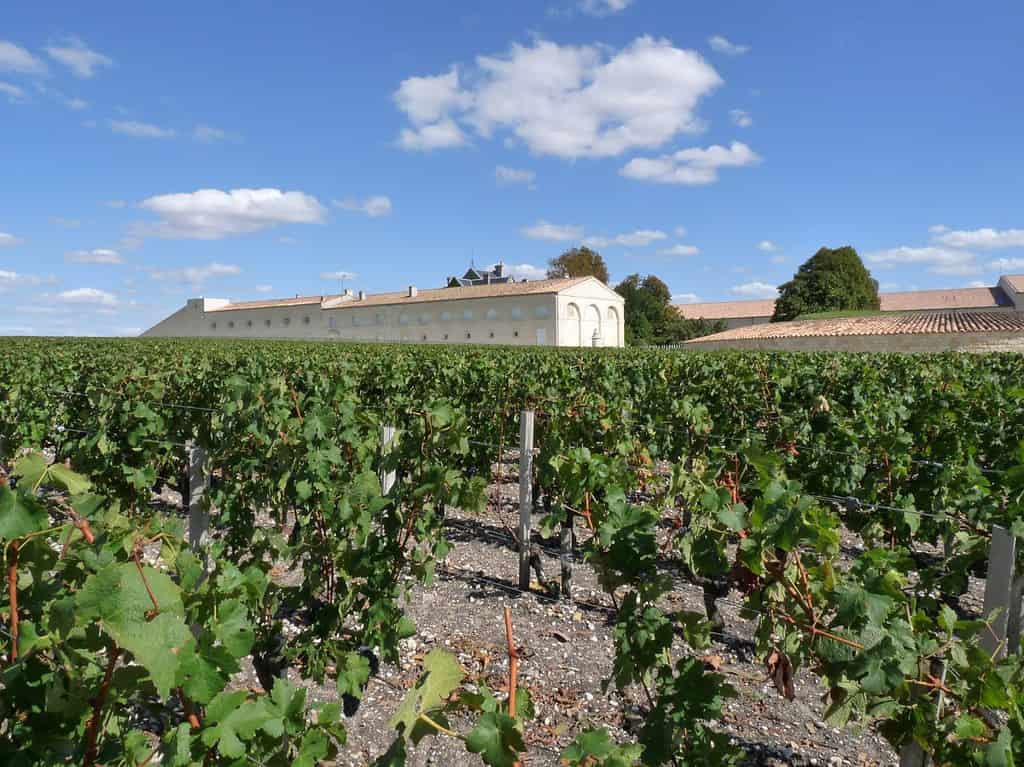 Mouton-Rothschild Vineyards