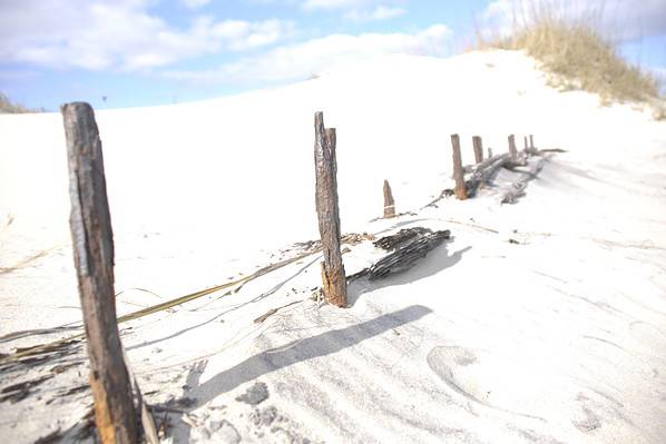 The 5 Most Famous Shipwrecks in Outer Banks History - A-Z Animals