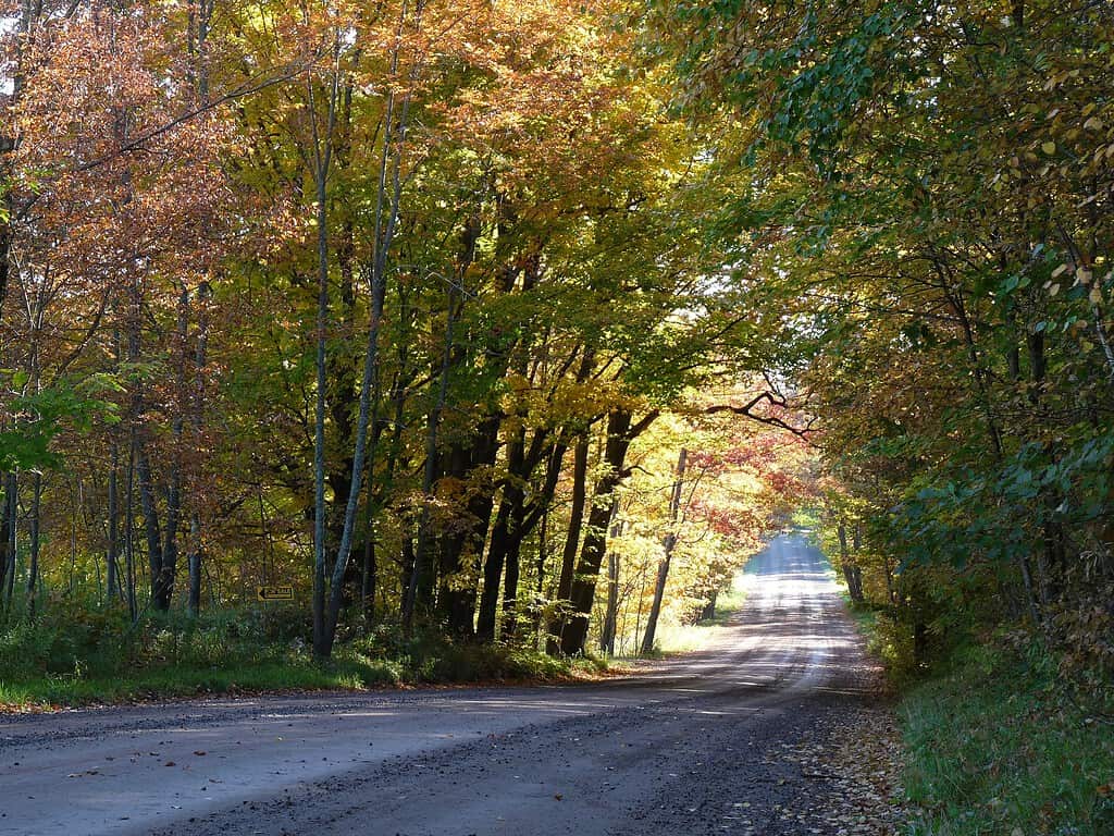 When traveling through Wisconsin, avoid the interstate. Instead, take a scenic drive through the state's diverse landscape, and take in everything the scenery has to offer.