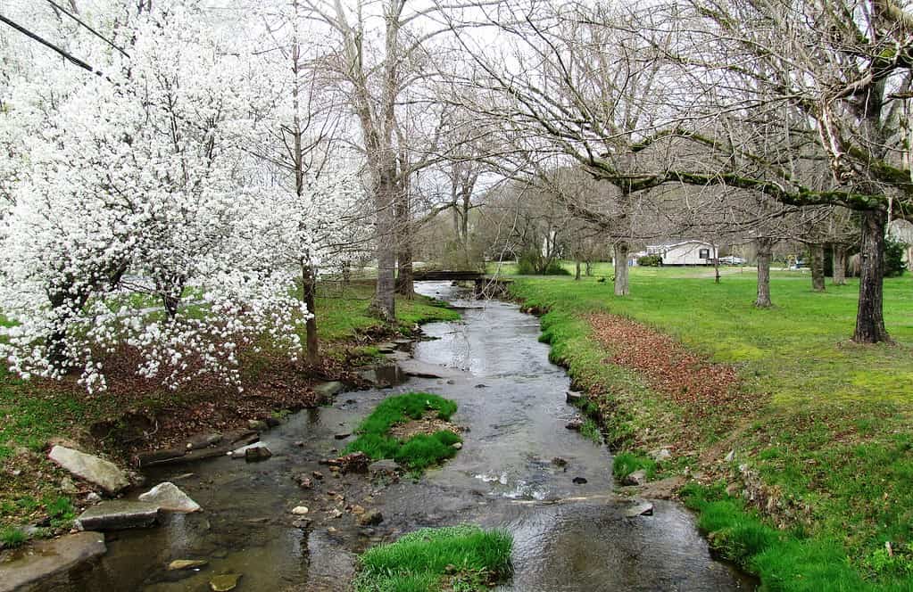 Salt Lick Creek near Red Boiling Springs, Tn, a natural spring in Tennessee