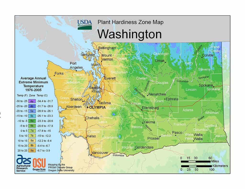 USDA Hardiness zone map of Washington State