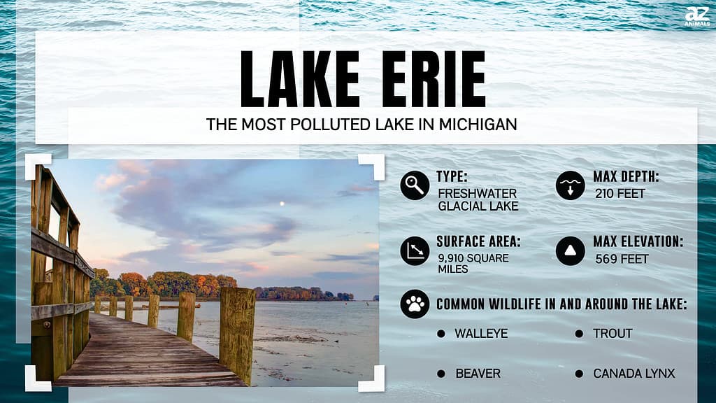Lake Erie is the Most Polluted Lake in Michigan