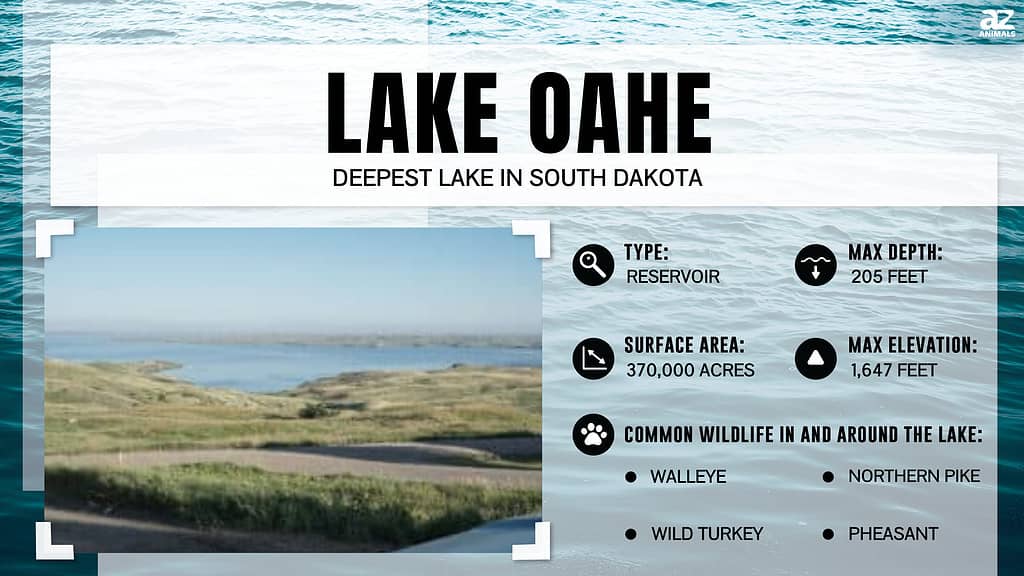 Infographic for Lake Oahe, South Dakota