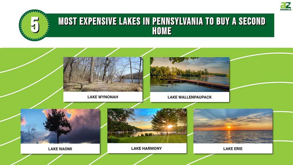 Infographic for the Most Expensive Lake to buy a 2nd home in Pennsylvania