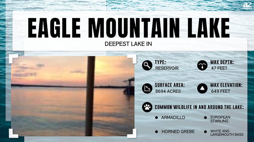 Infographic for Eagle Mountain Lake in Fort Worth, Texas